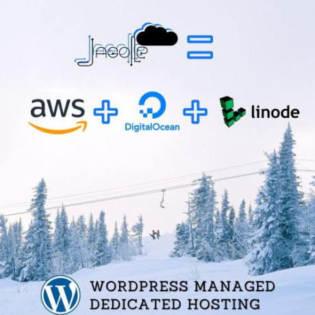 wordpress-managed-dedicated-hosting-big-0